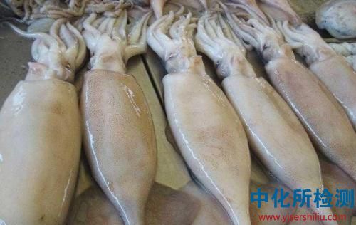 魷魚檢測