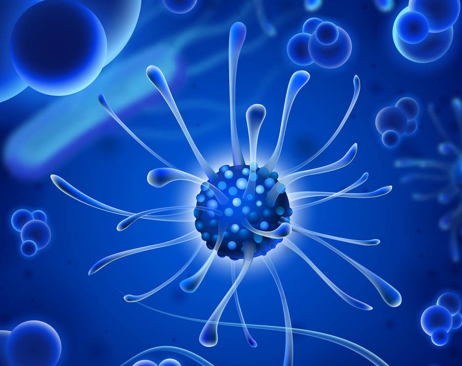 微生物檢測,微生物檢驗,微生物檢查,生物檢測 . 微生物檢測_第三方檢測機構(gòu)