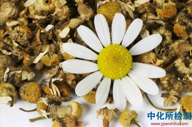 精油檢測 . 芳香治療|精油護理