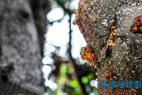 松香助焊劑 . 松香助焊劑