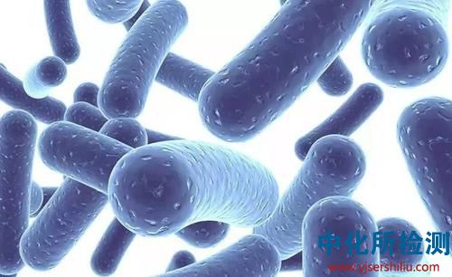 益生菌檢測