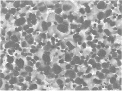 納米鈦酸鋇檢測(cè)
